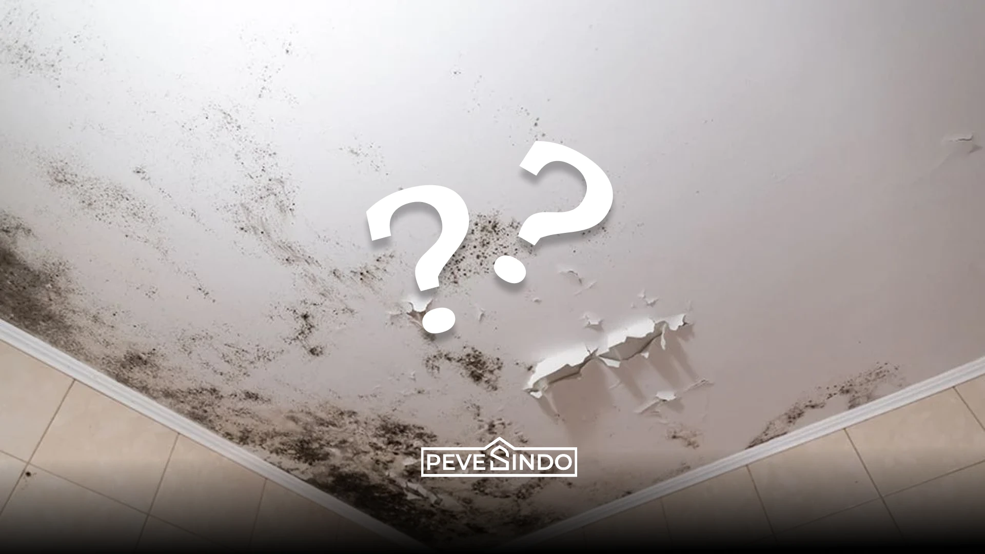 Mengatasi plafon berjamur