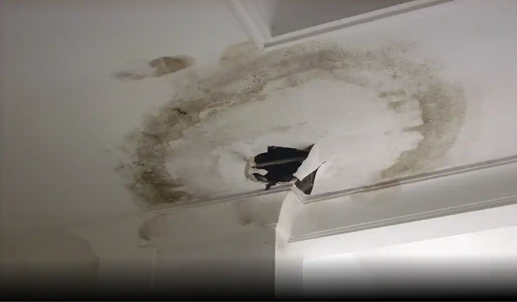 plafon rembes triplek