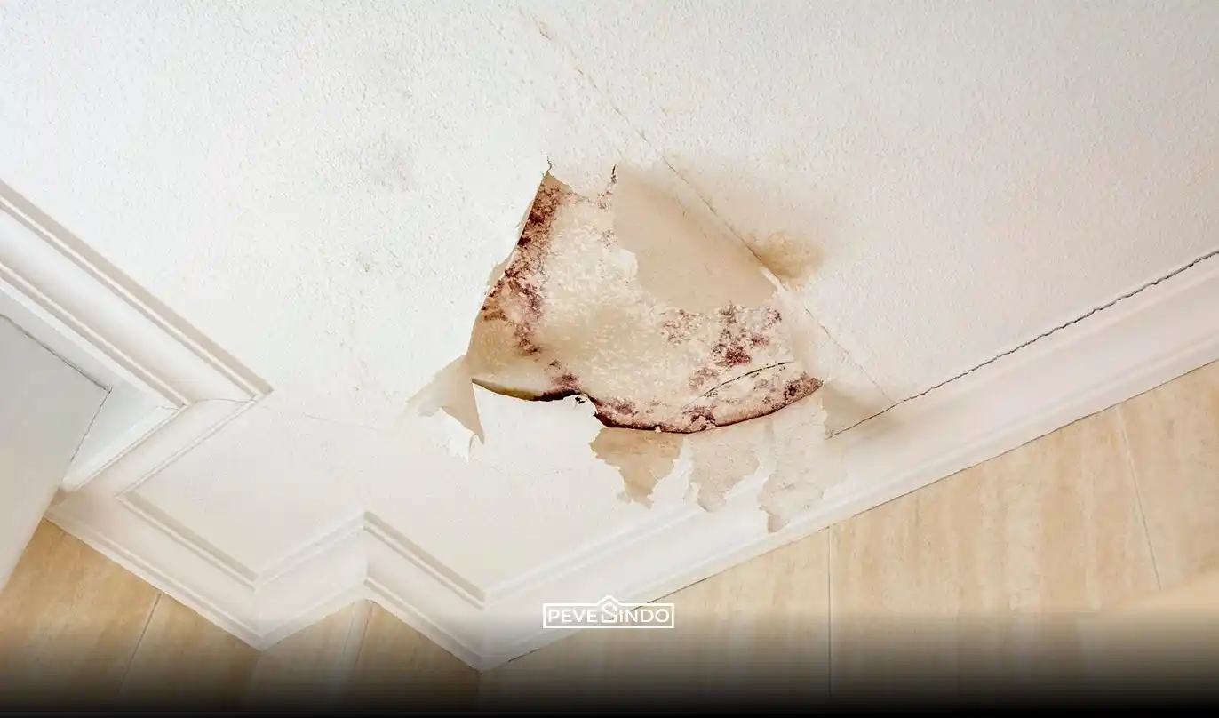 plafon triplk terkelupas