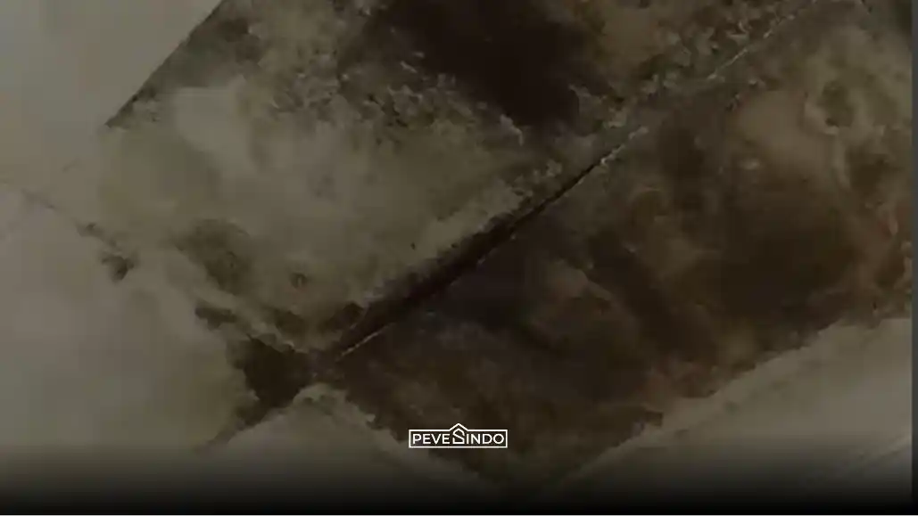 plafon triplek berjamur