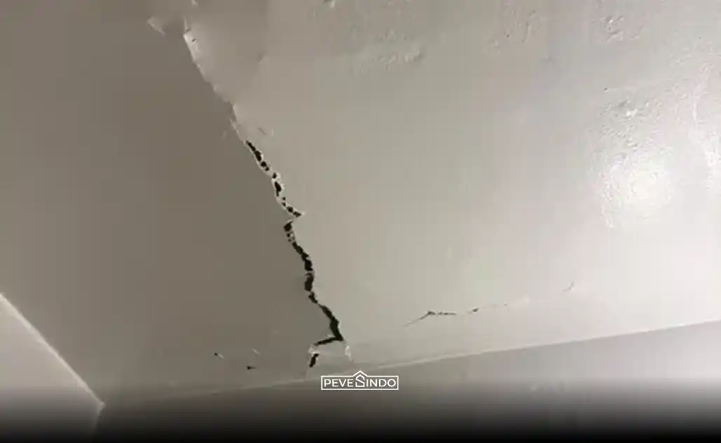 plafon triplek melegkung