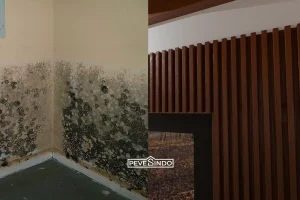 Dinding Rembes dan Terus Berjamur? Selesaikan Permanen dengan Pemasangan Wall Panel PVC